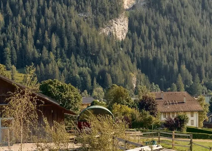 Swiss Near Gstaad: Luxury Views *