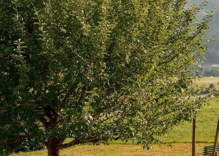 Swiss Near Gstaad: Luxury Views * Gstaad