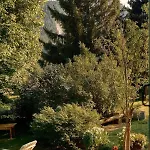 Swiss Near Gstaad: Luxury Views * Гштад